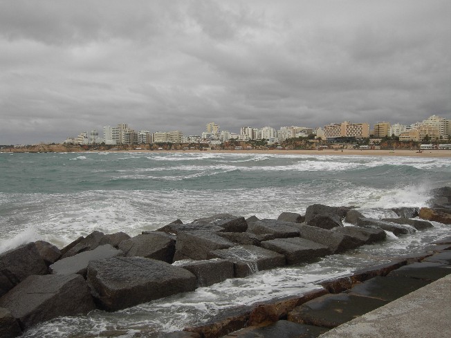 [PICT0469.JPG]