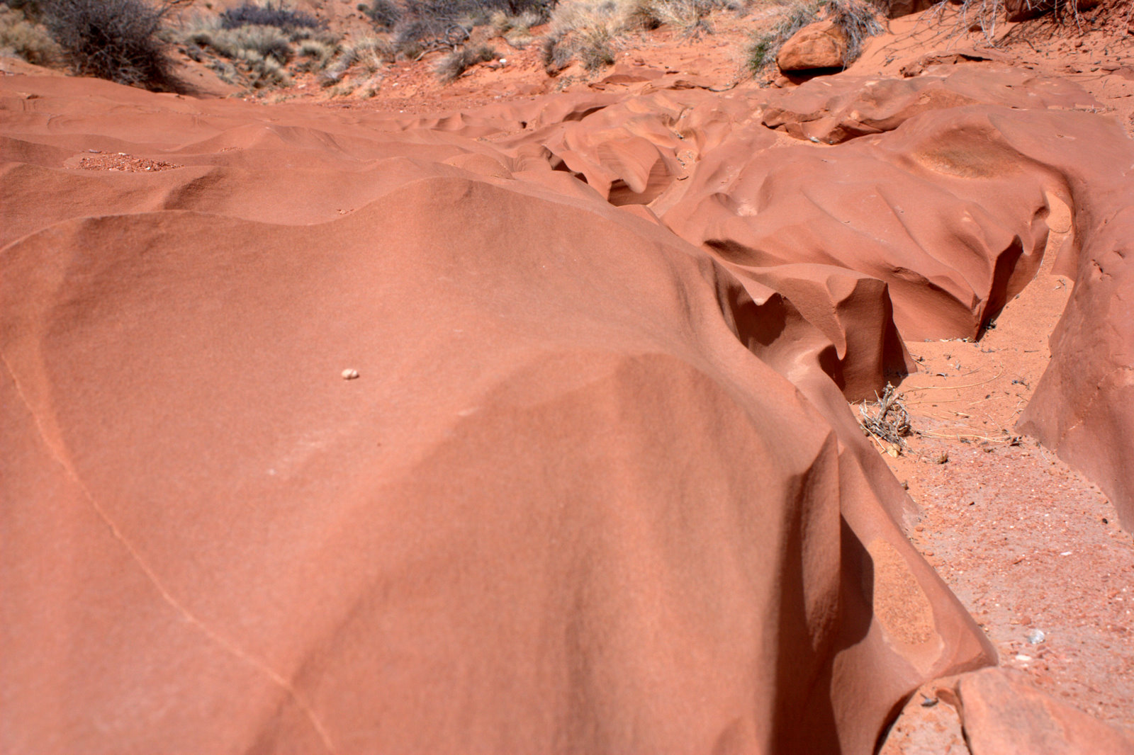 Leprechaun Canyon Utah
