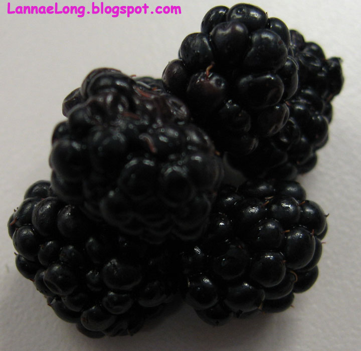 [blackberry.jpg]