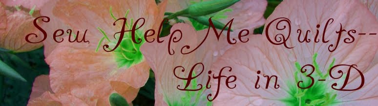 Sew Help Me Quilts--Life in 3-D