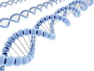 Tugas 1 - Teknologi Paling Canggih/Modern - Page 2 2+genetic11_1_4200