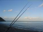 Sea Fishing for Free - A Beginner's Guide