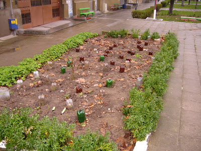 Another Plastic Bottled Public Garden