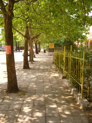 Green Tree Lined Yambol Street