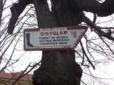 A Yambol Signposted Tree