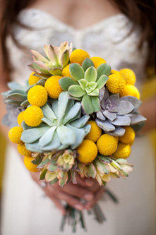 [emerald2succulents.jpeg]