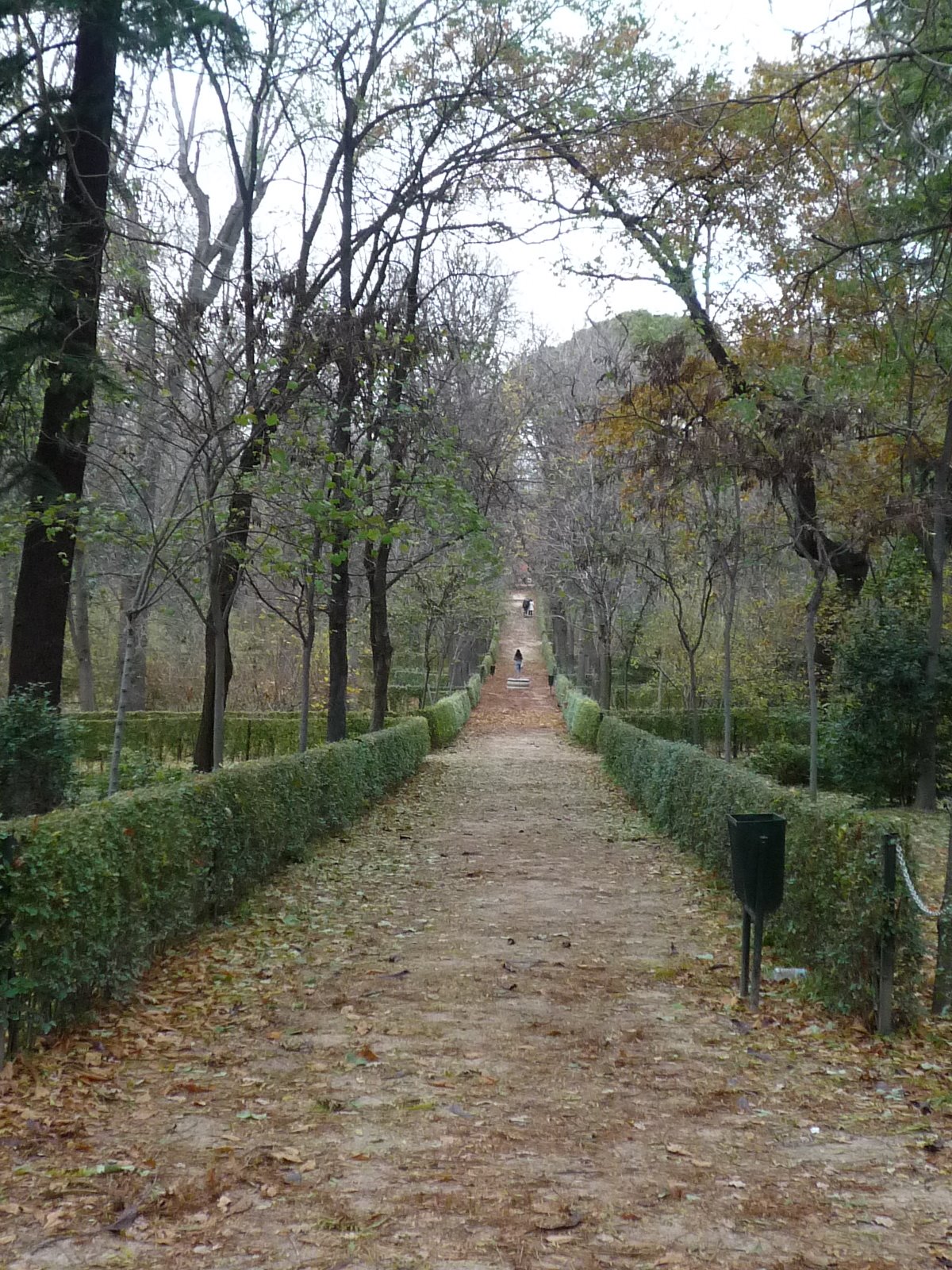 [P1000440.JPG]