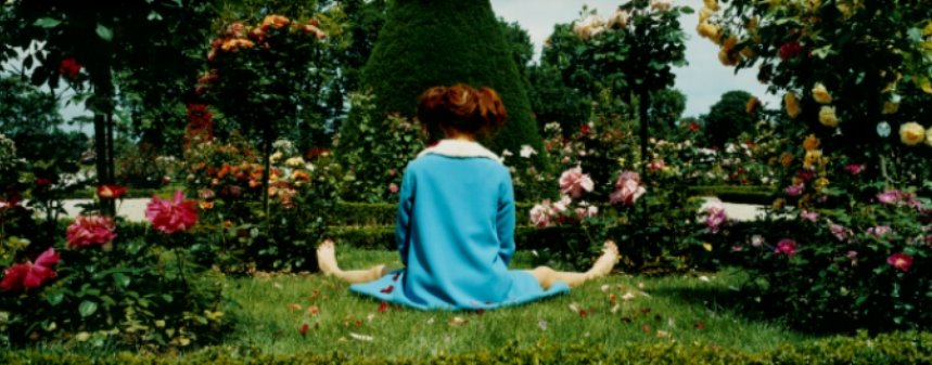 [denisegrunstein.jpg]