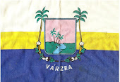 BANDEIRA DE VÁRZEA RN