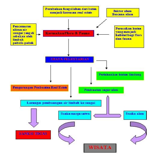 Wasocuno Xi Ips 1 Kerusakan Flora Dan Fauna