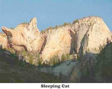 Kucing+gunung.jpg