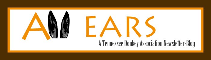 All Ears  - the Tennessee Donkey ASSociations News-blog