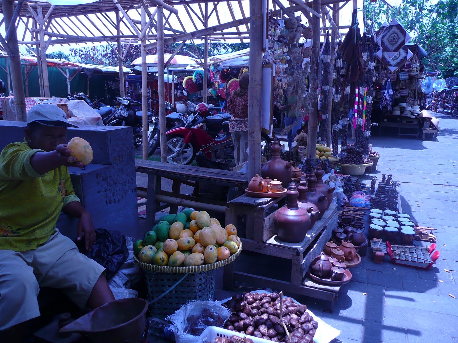 [P1090208.JPG]