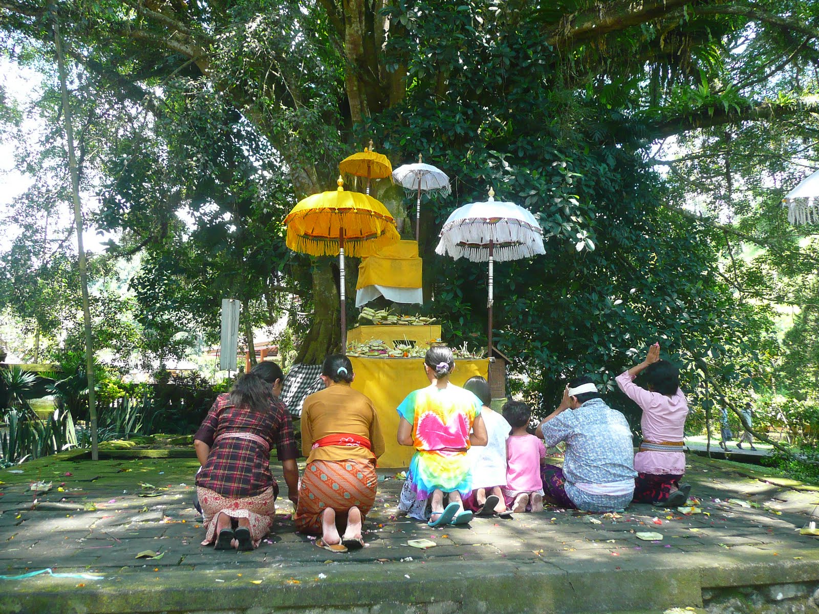 [P1090324.JPG]