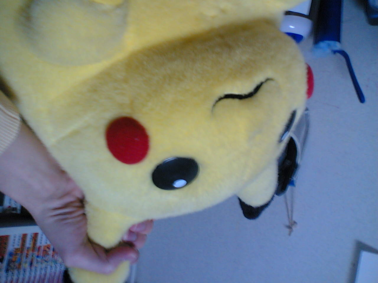 [bikachu.JPG]