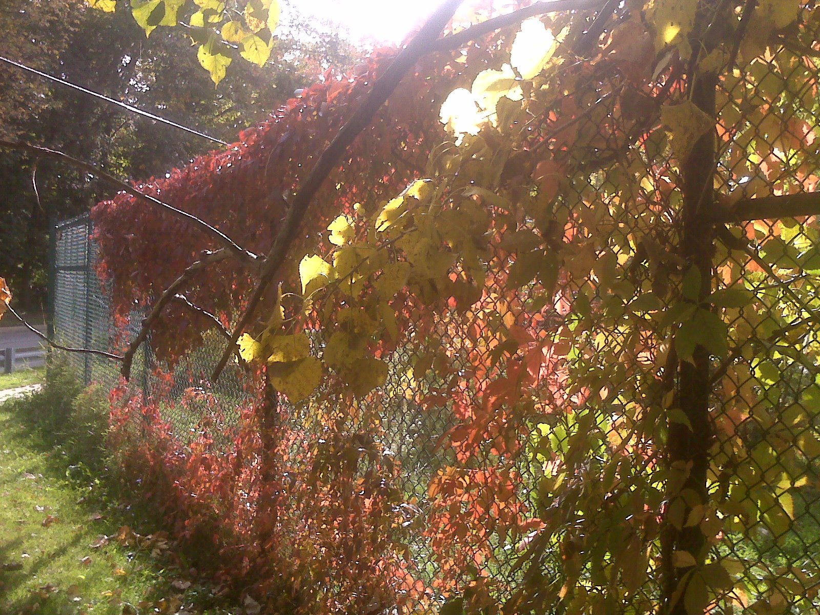 [=?utf-8?B?SU1HMDAxOTMuanBn?=-776346]