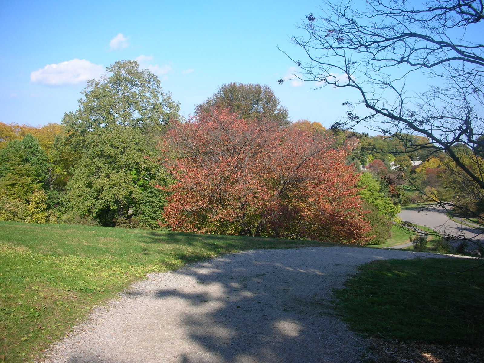 [DSCN64315437.JPG]