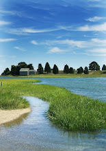 Cape Cod: Saltmarshes