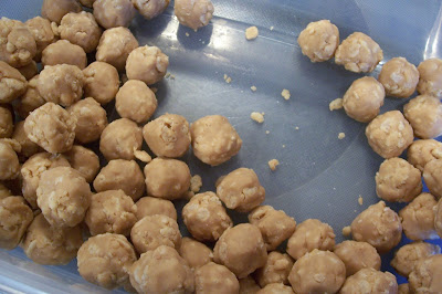 pre-dipped peanut butter balls