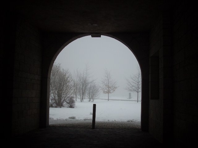 [DSCN9336.JPG]