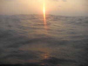 [Day+37+sunset-705494.JPG]