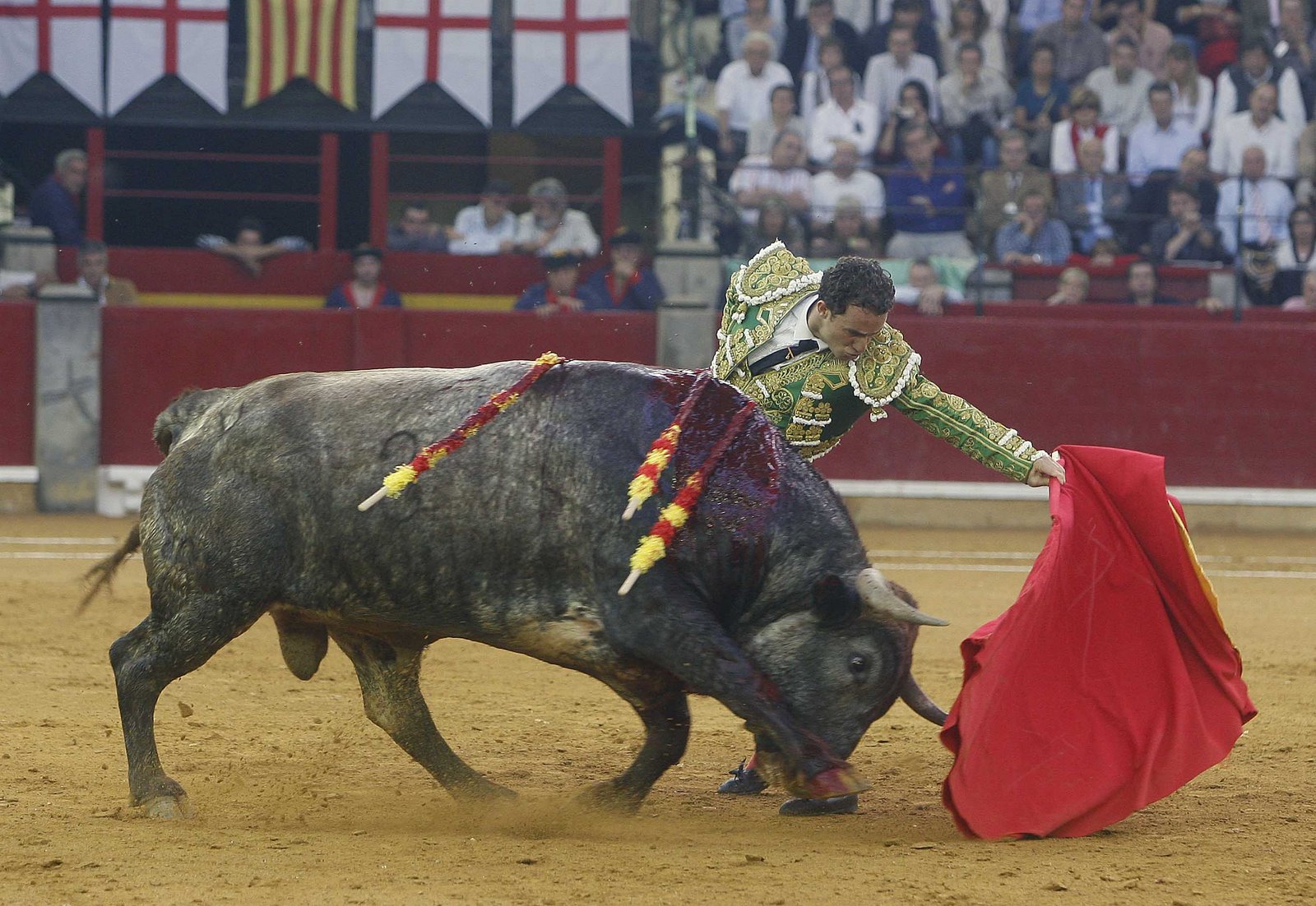 [rafaelillo_A5C3312.jpg]