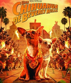 Chihuahuas de película