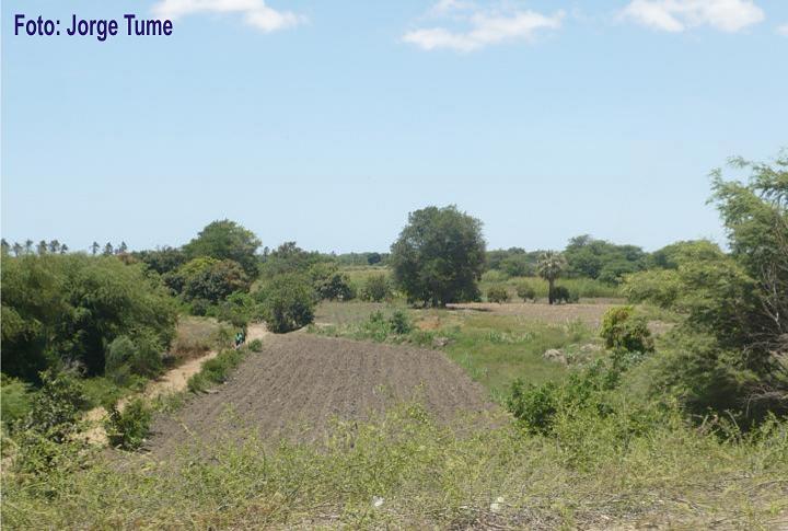 BERNAL, PUEBLO ECOLÓGICO