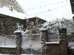 "Secret Garden" in winter