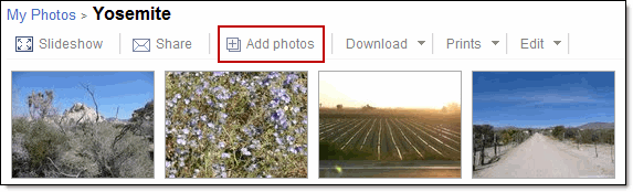 Álbumes colaborativos en Picasa - MuyComputer 34 Álbumes colaborativos en Picasa 33