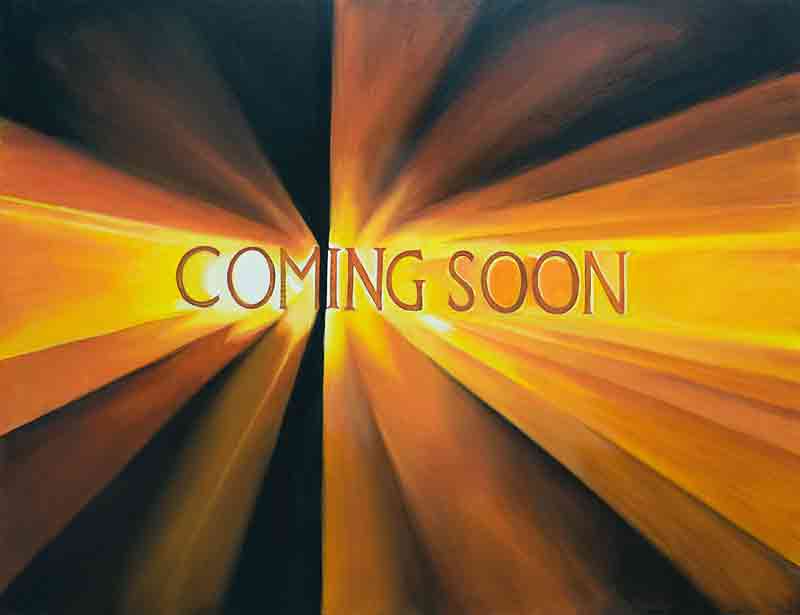 Diesen Link Konnen Sie Sich Die Pdf Datei Rhein Neckar Zeitung