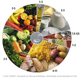 Nova Roda dos Alimentos