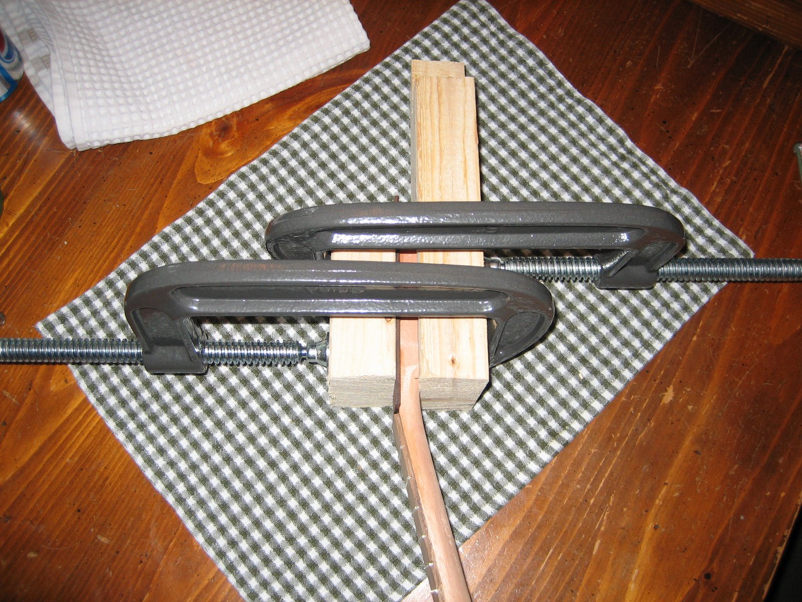 [Picture+025.jpg]
