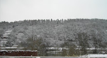 Main-Blick im Winter