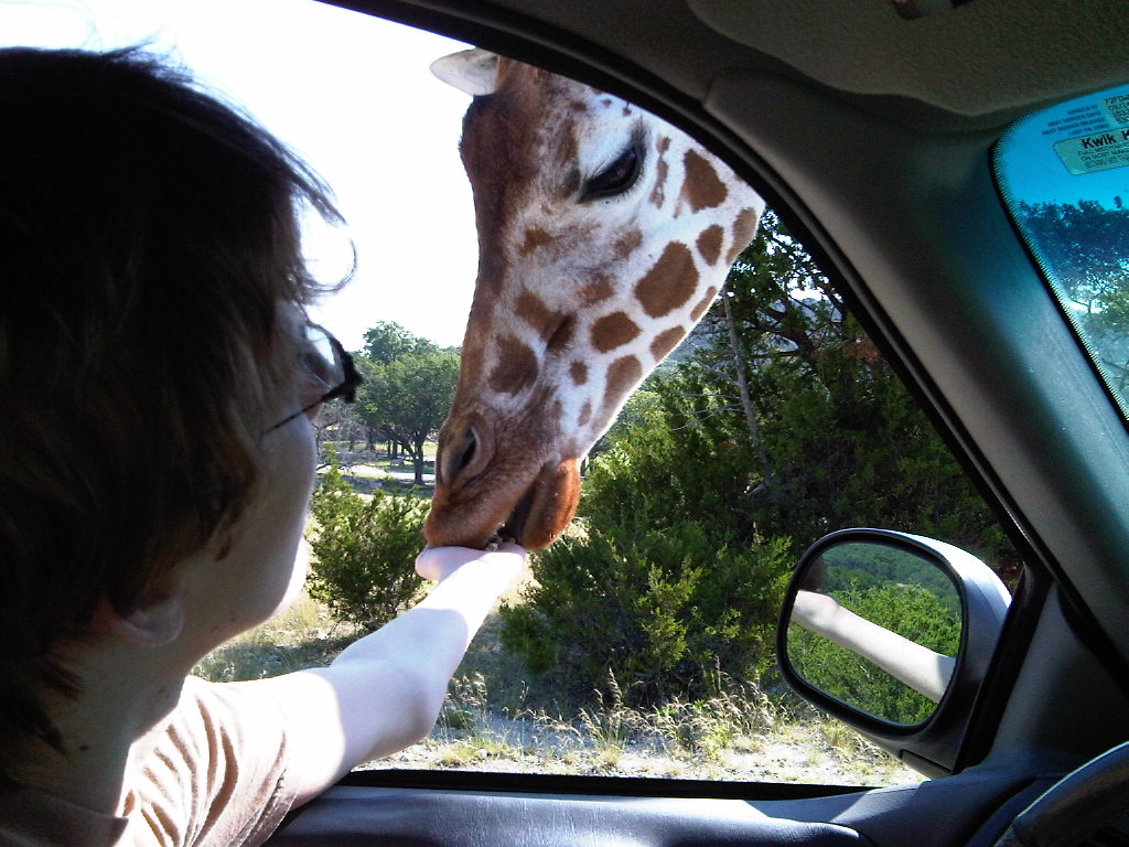 [ryangiraffe.jpg]