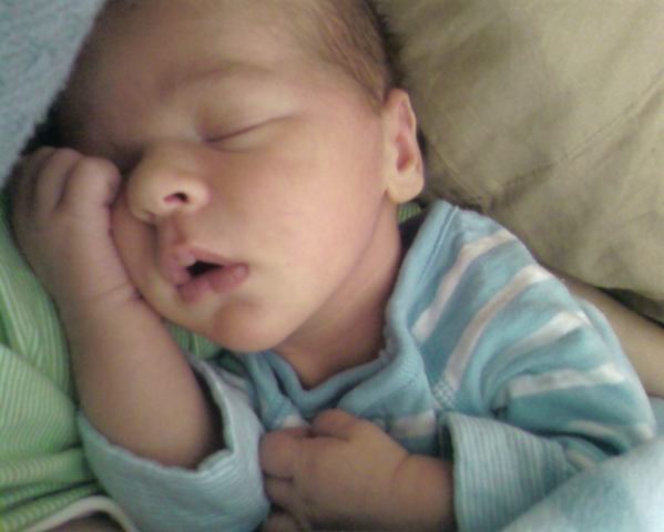 [Photo-0461.jpeg]