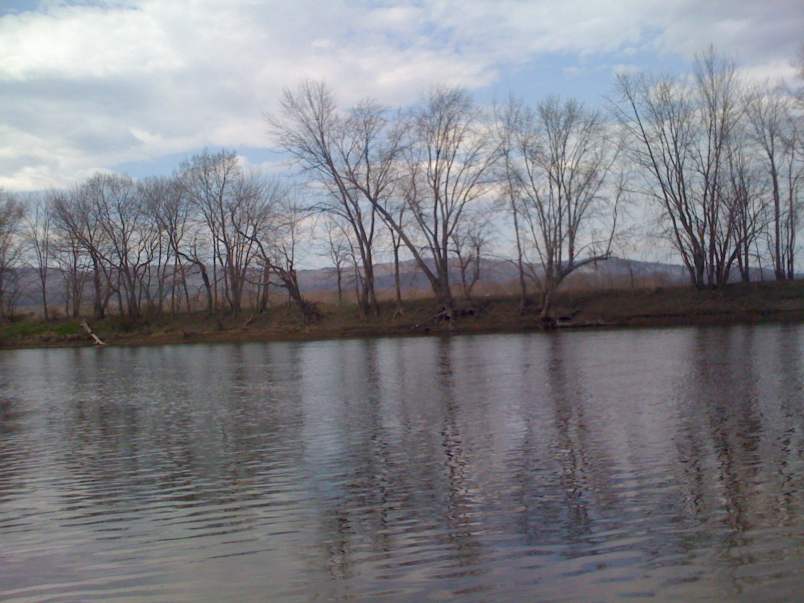 [IMG_0056.JPG]