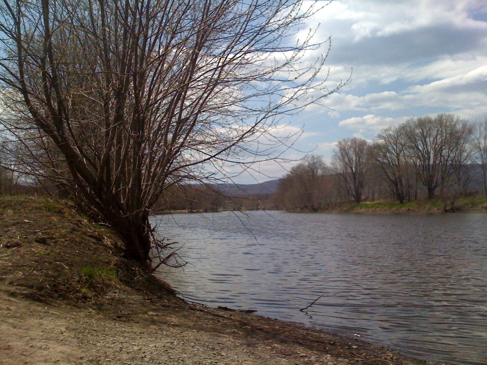 [IMG_0057.JPG]