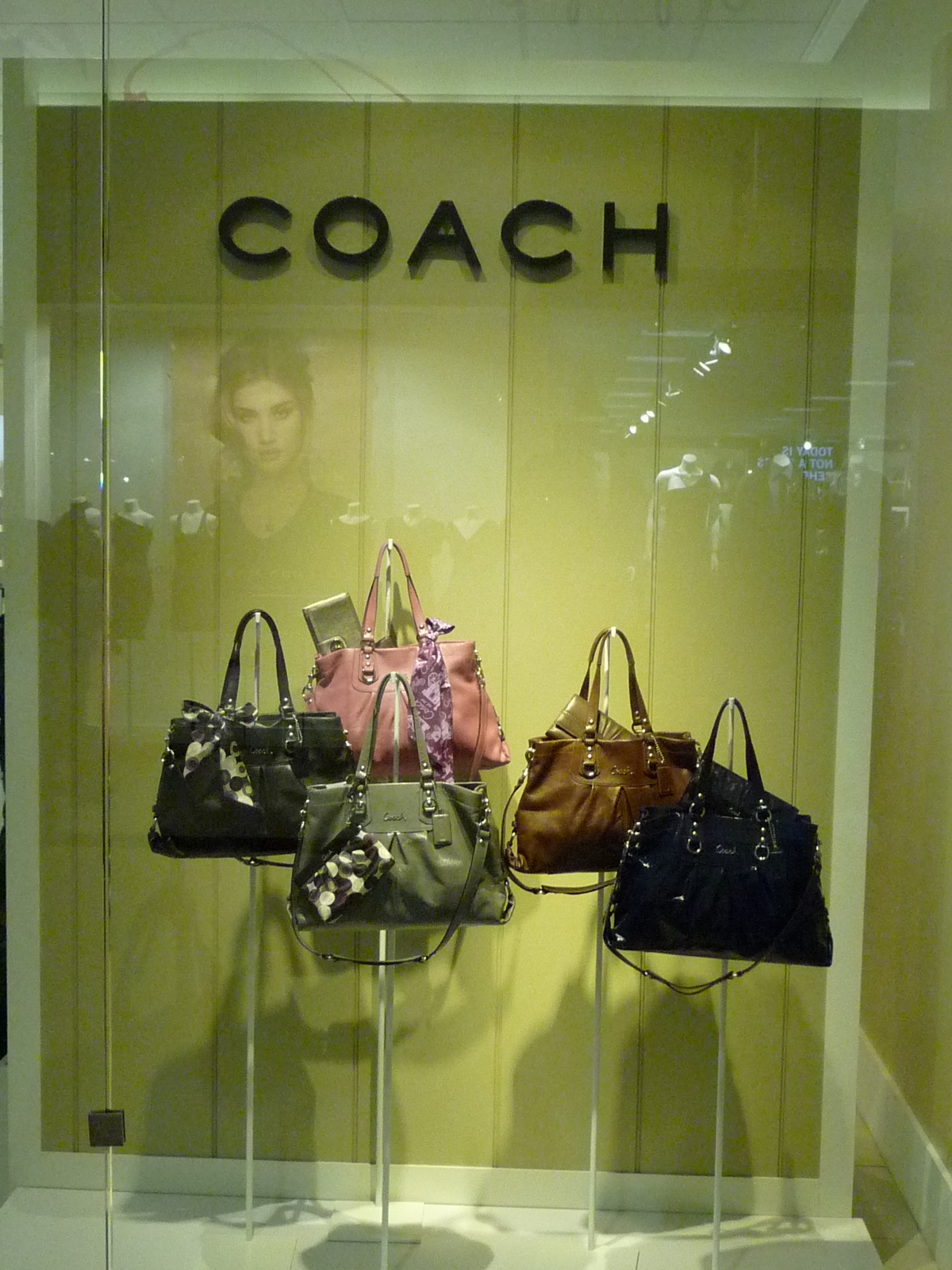 coach outlet sawgrass