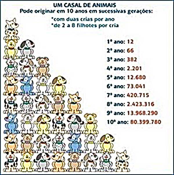 [piramide.jpg]