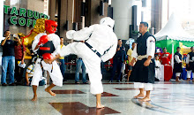 KEMPO RANDORI