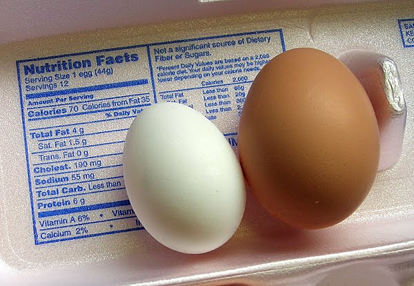 [Gingersnaps+egg.jpg]