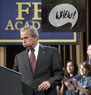 president bush sighs
