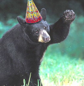 bear market rally near completion