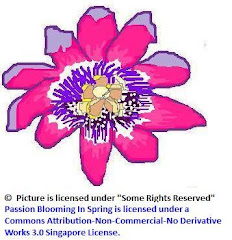The Giant Granadilla Flower