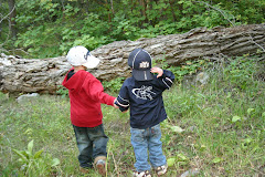 Little cougar fans