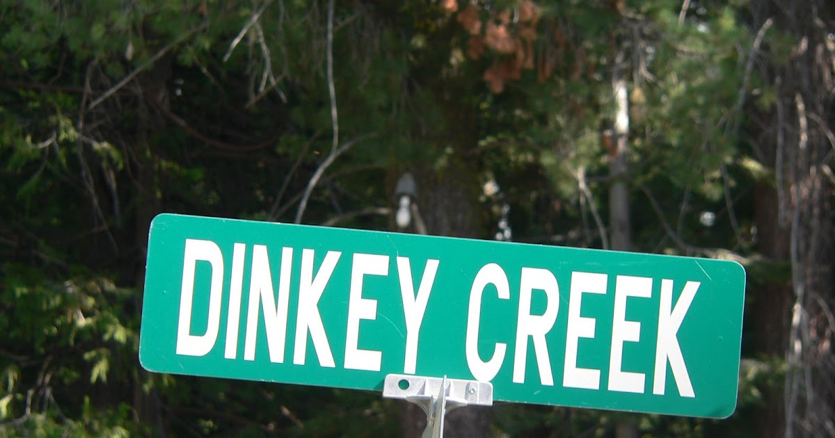 Life Of Tracy Dinkey Creek