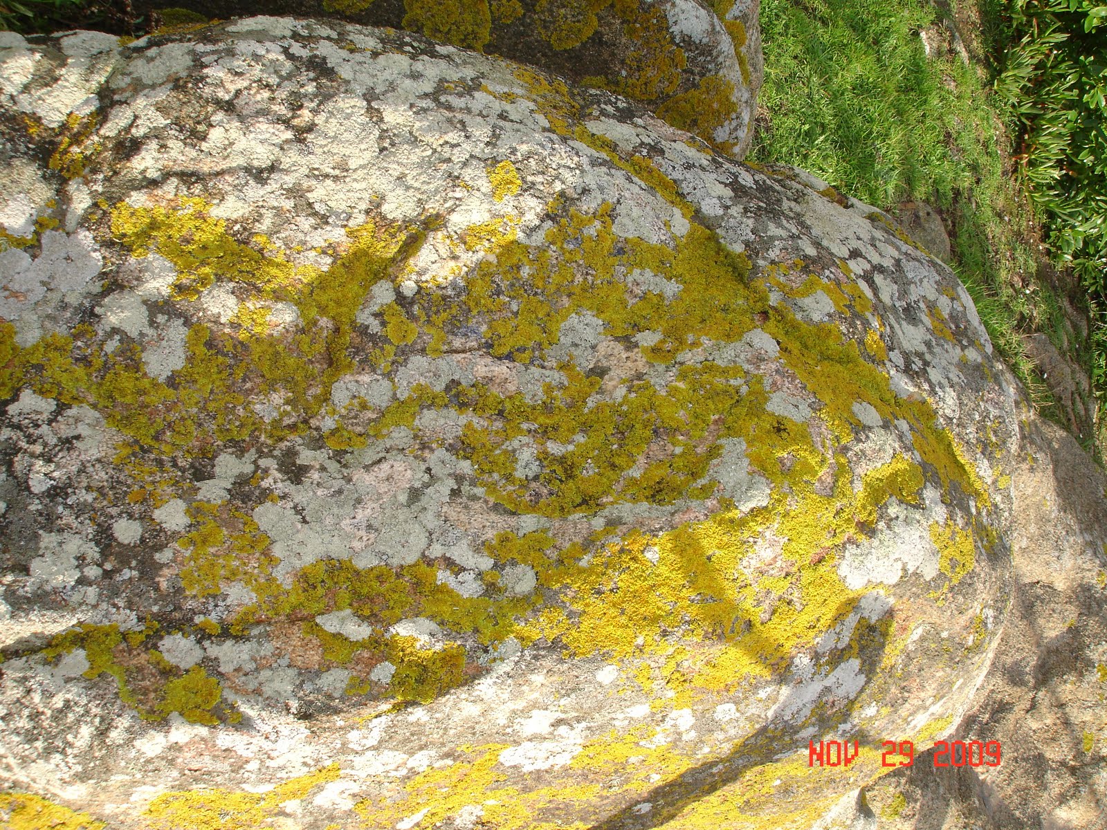 [DSC00630.JPG]