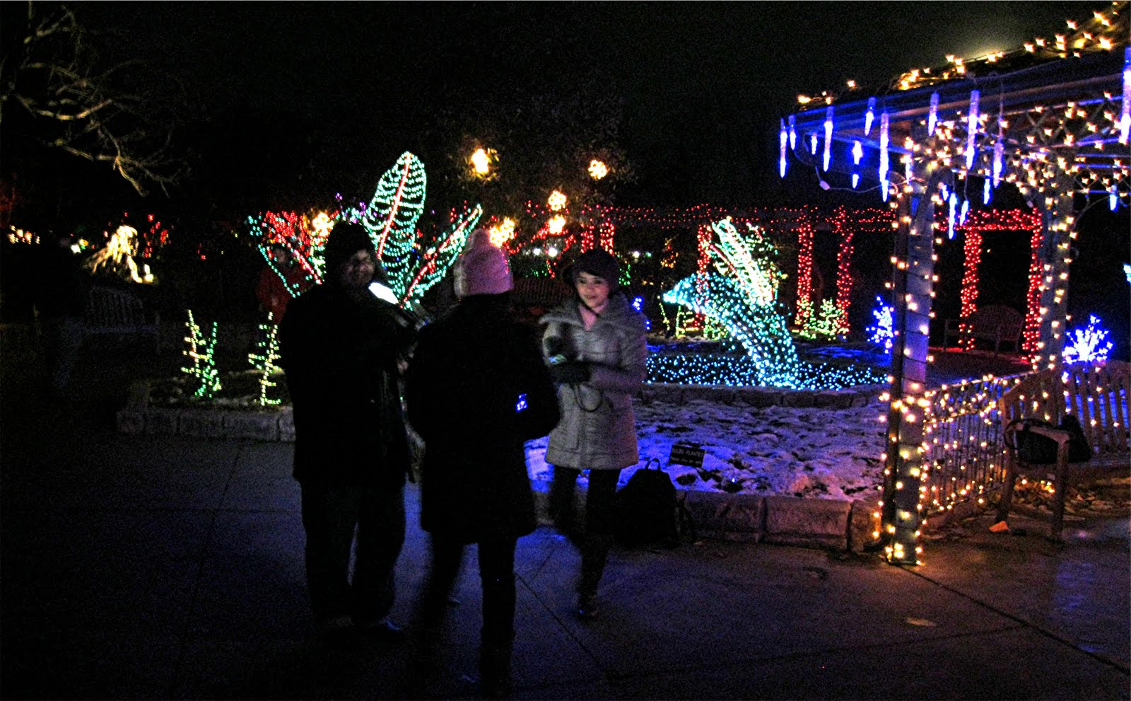 1003 Gardens Brookside Gardens Holiday Light Display
