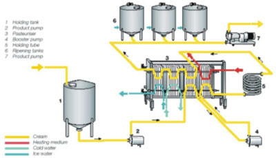 EN LA LECHE NO PASTEURIZADA en la leche no pasteurizada:
